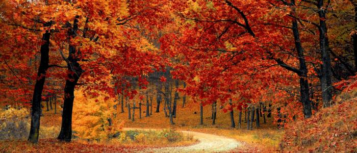 Vacation in September: Munich or Algarve - Travelcircus